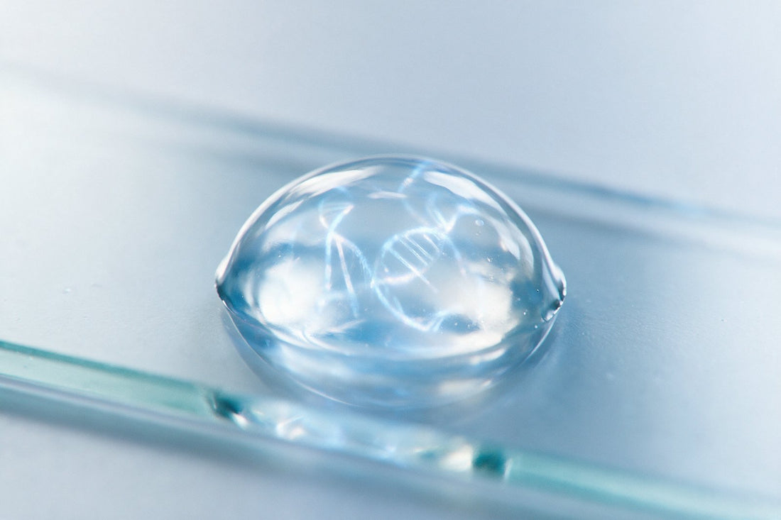 Polynucleotide gel droplet with helix reflections — polynucleotides buying guide